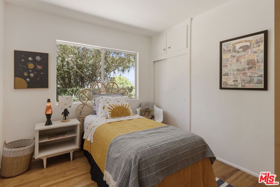 Palmero photo 33
