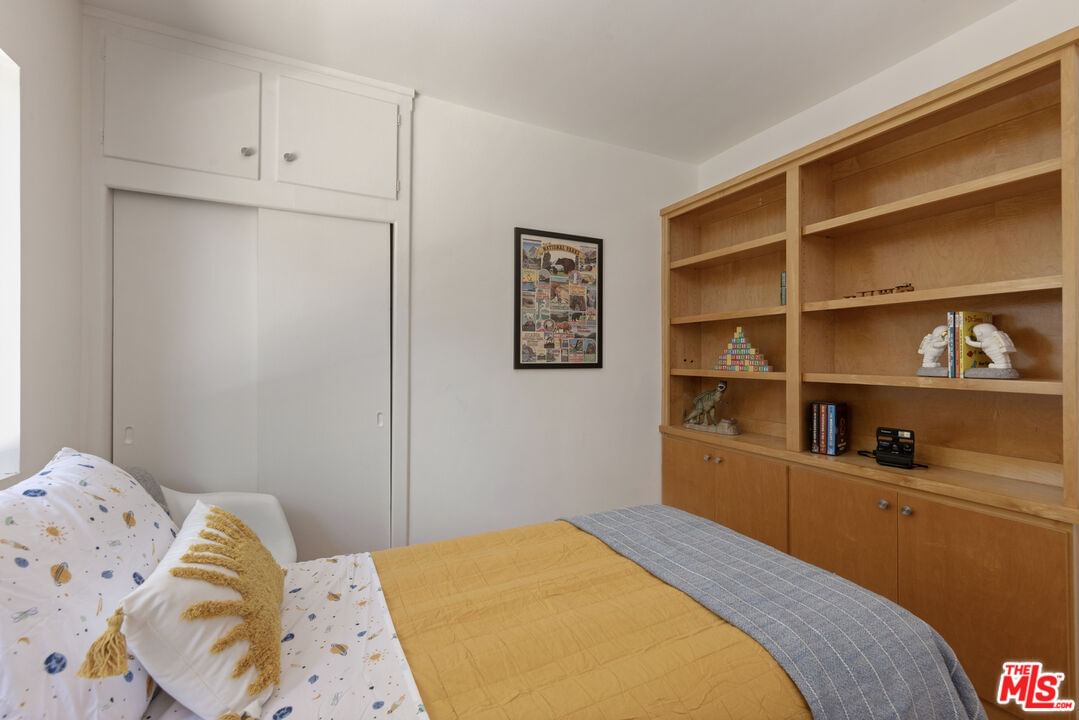 Palmero photo 34