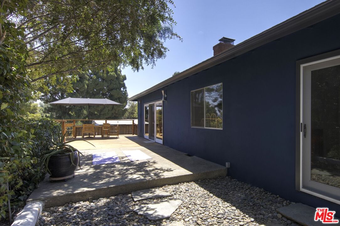 Palmero photo 42