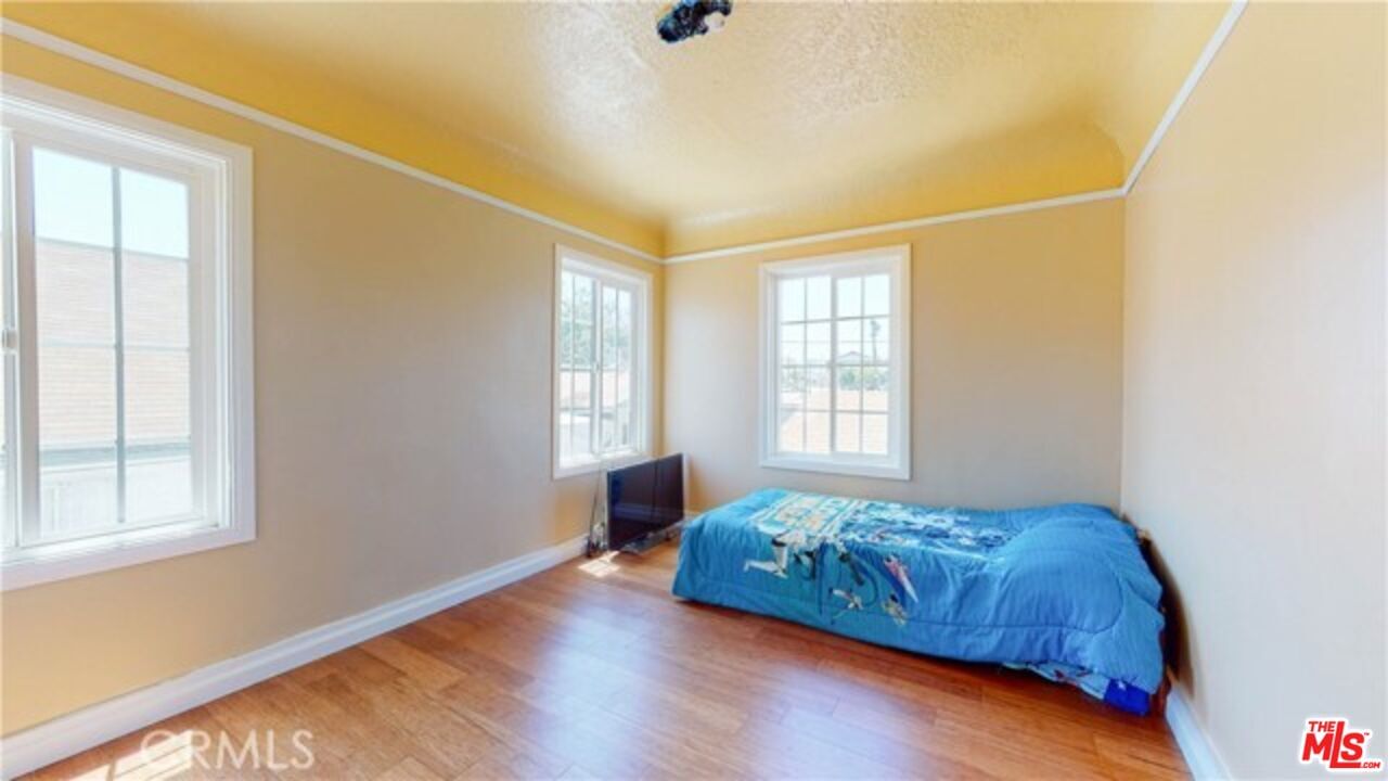 Savannah photo 27