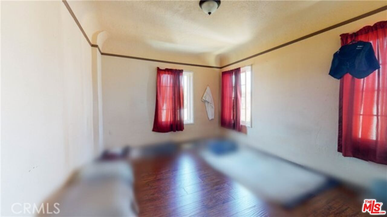 Savannah photo 28