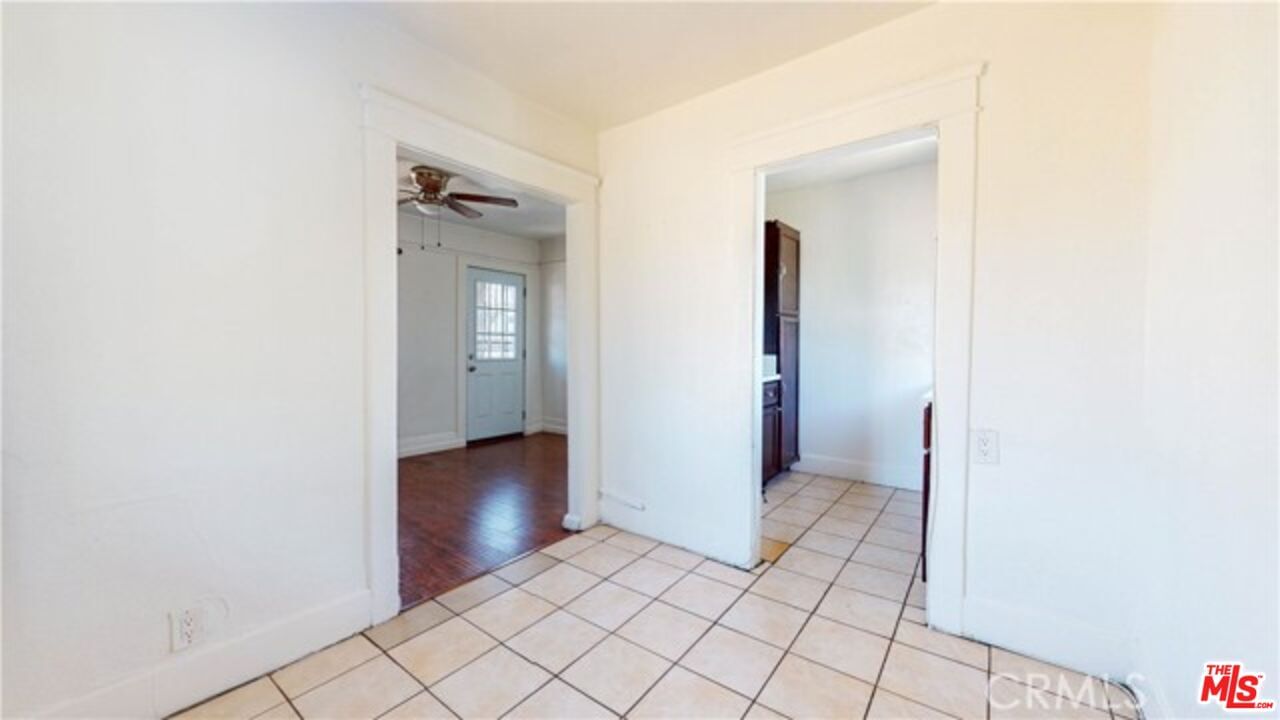 Savannah photo 34