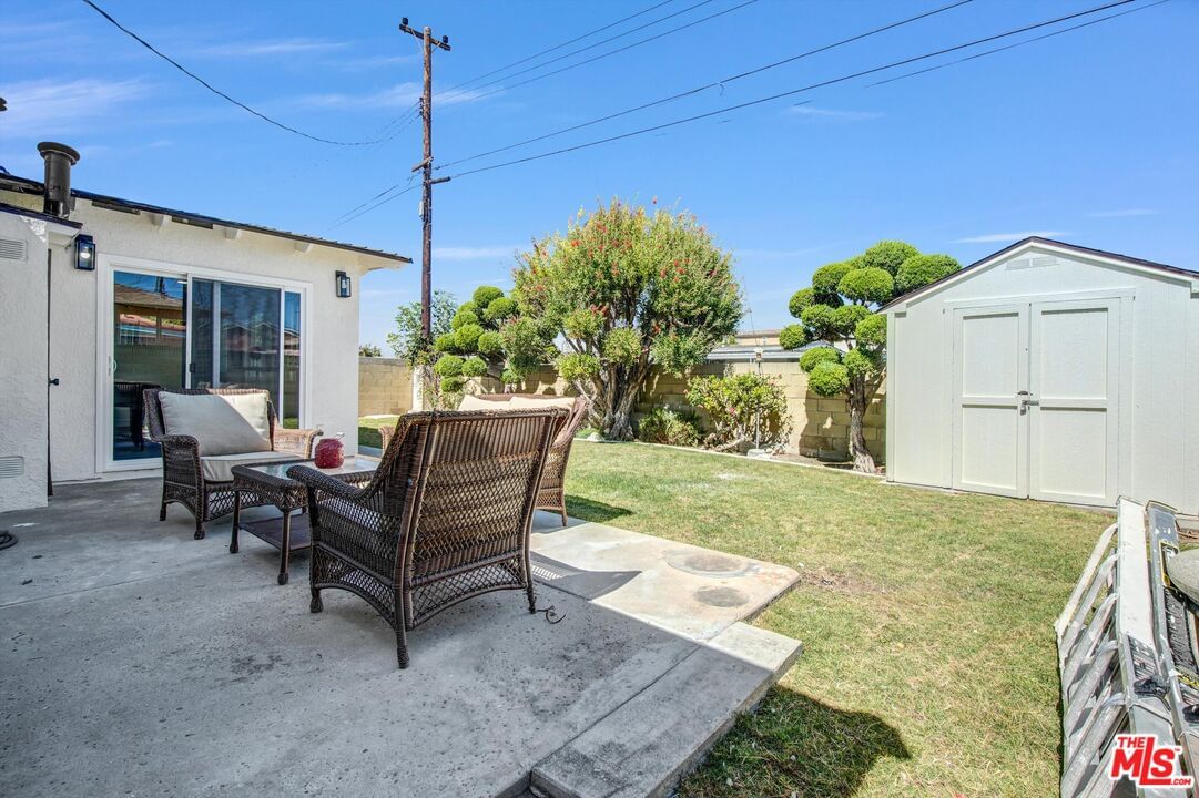 Acarus photo 15