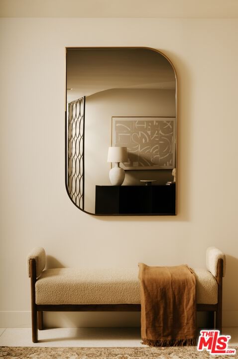 Mantova photo 14