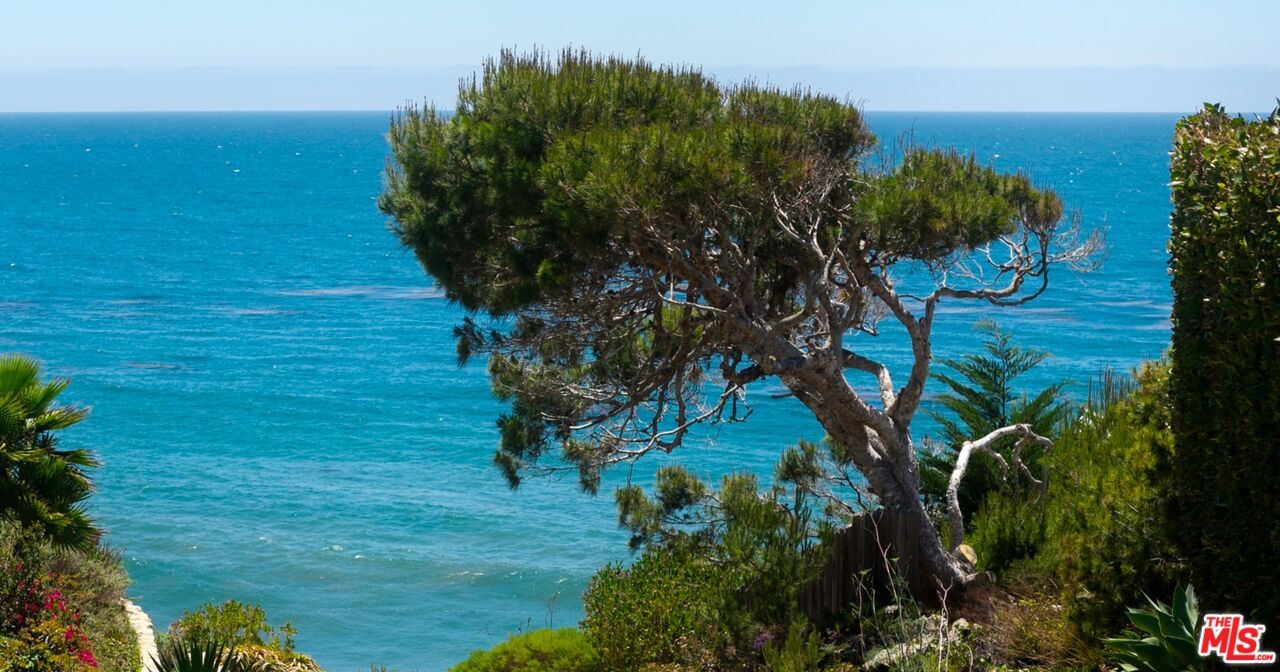 Pacific Coast photo 1