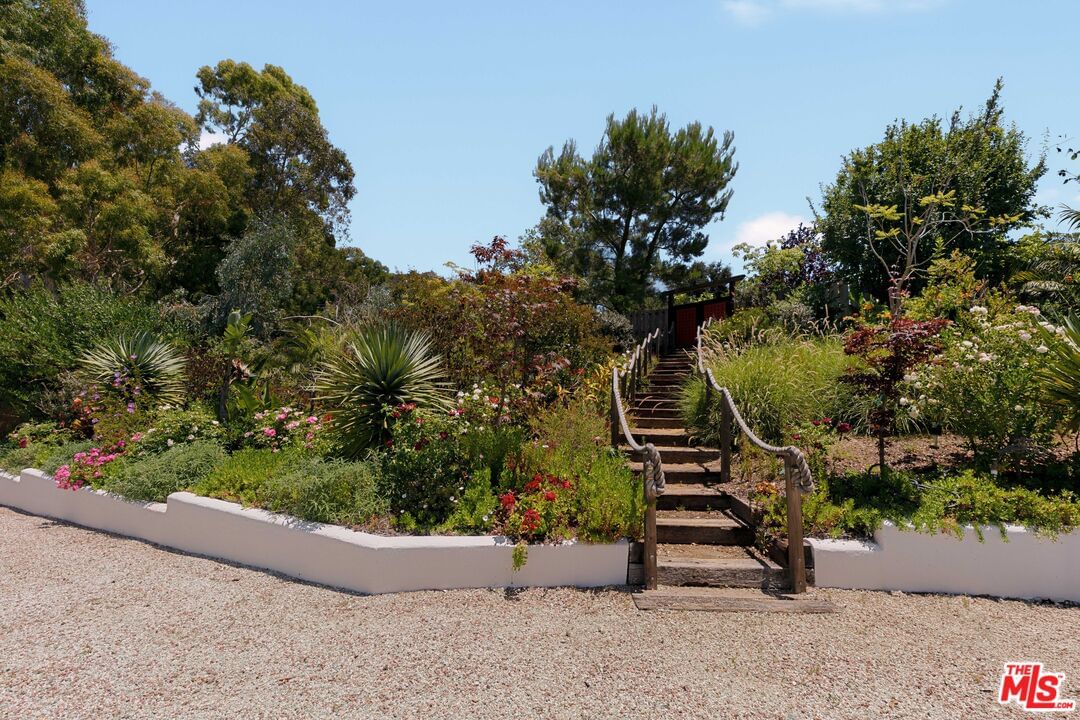 Loma Metisse photo 62