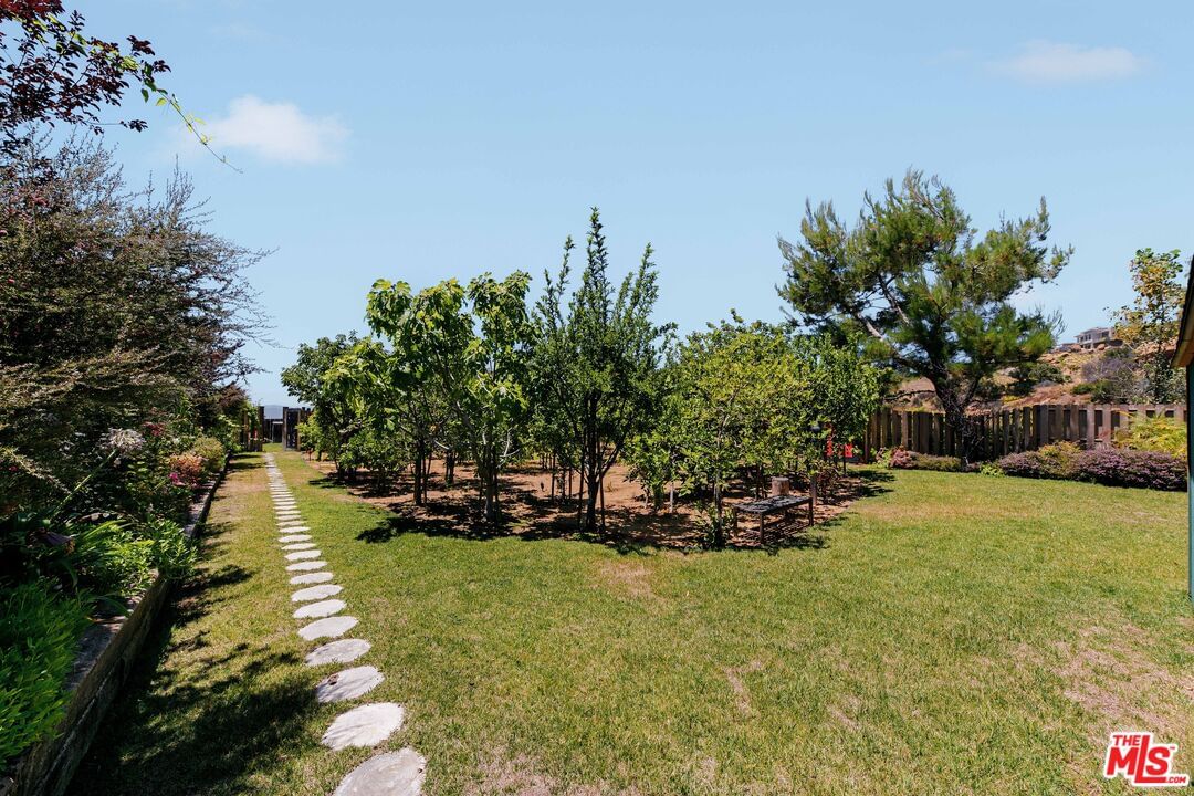 Loma Metisse photo 64