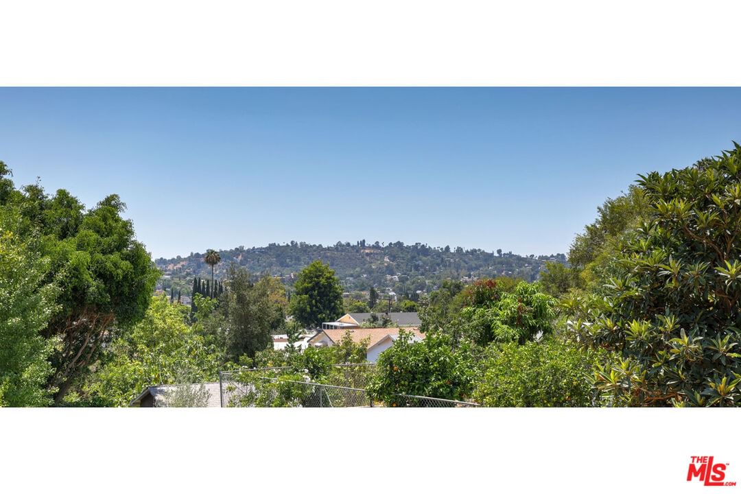 Avenue 55 photo 19