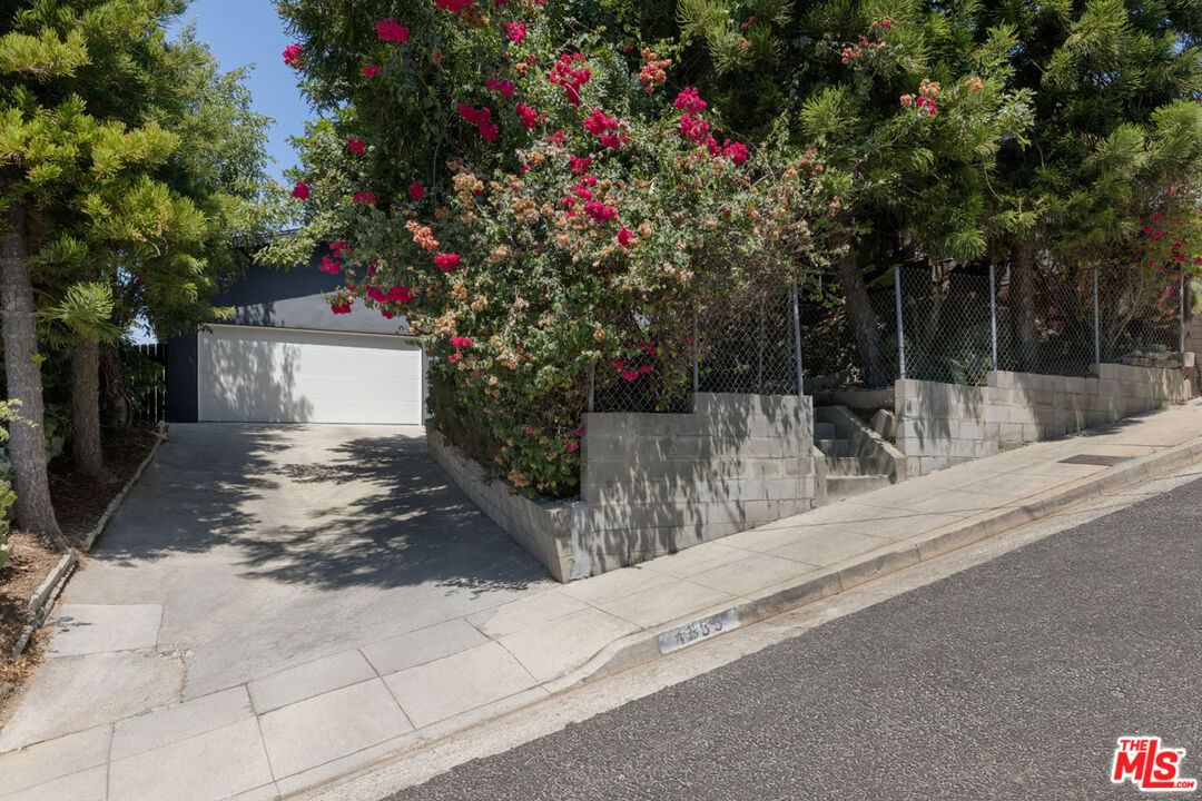 Avenue 55 photo 25