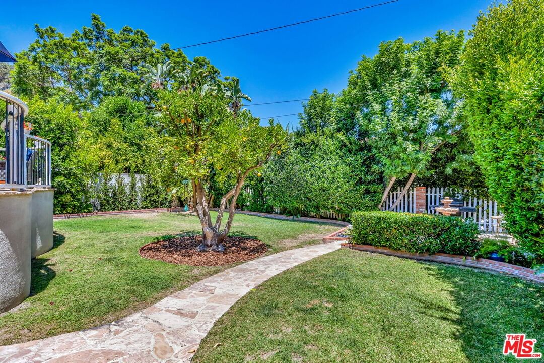 Camarillo photo 29
