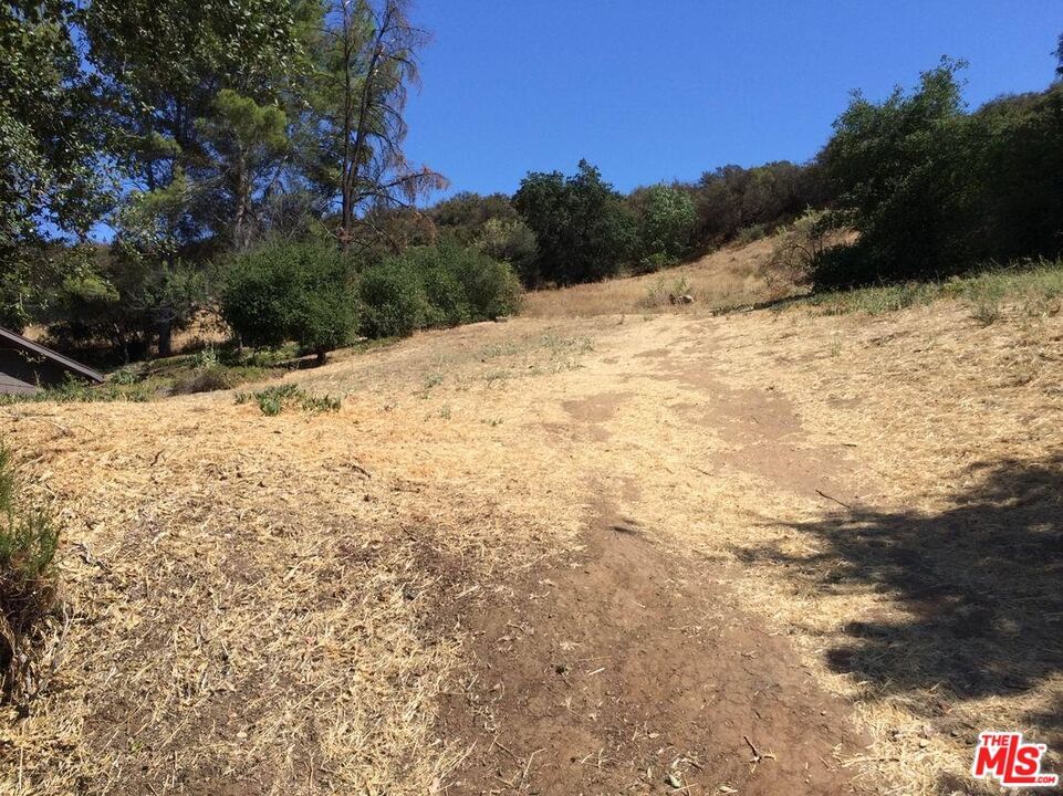 Summit photo 2