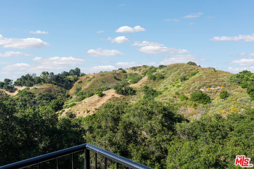 Coldwater Canyon photo 43