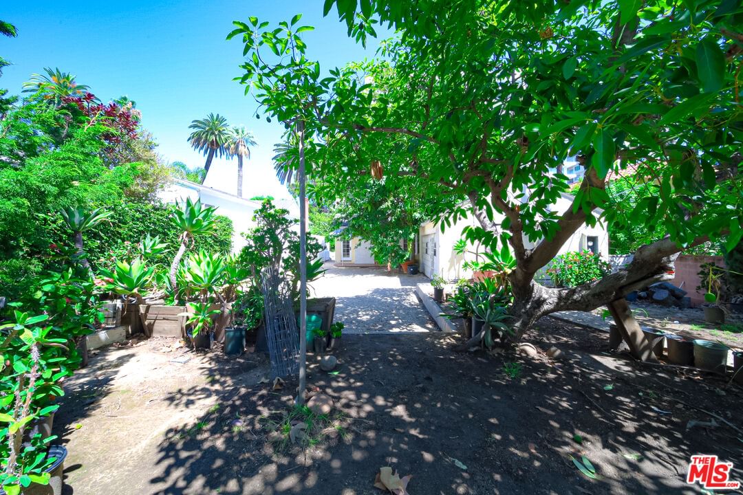 Doheny photo 64