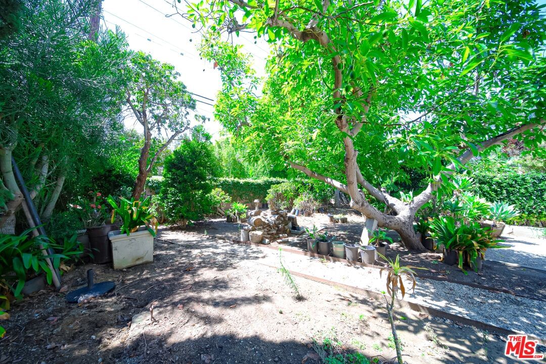 Doheny photo 65