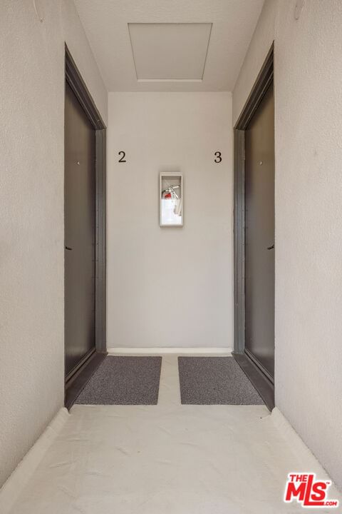 Euclid photo 27