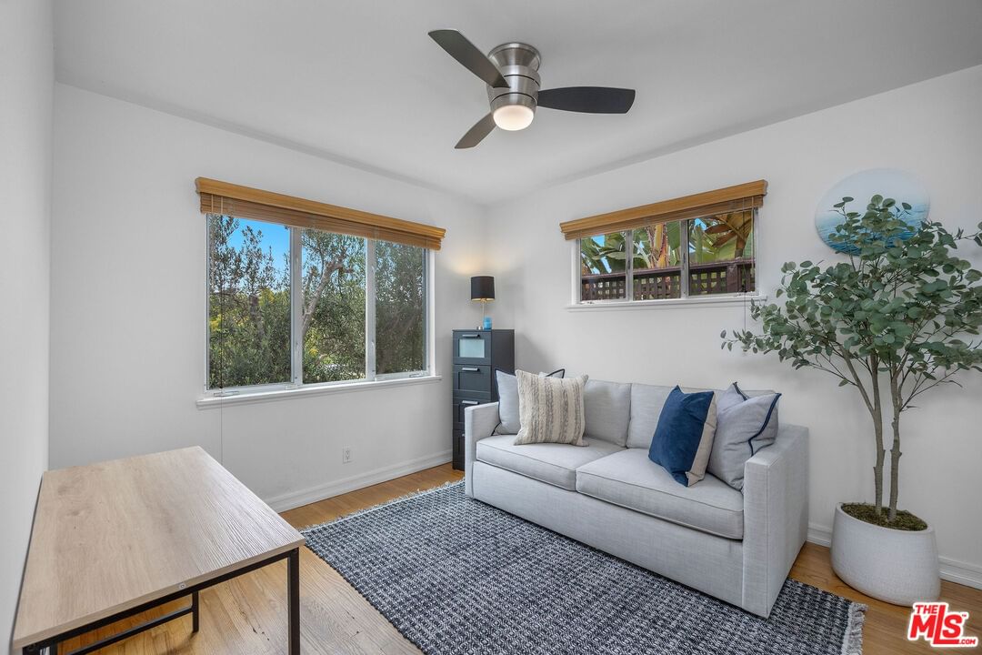 Euclid photo 8