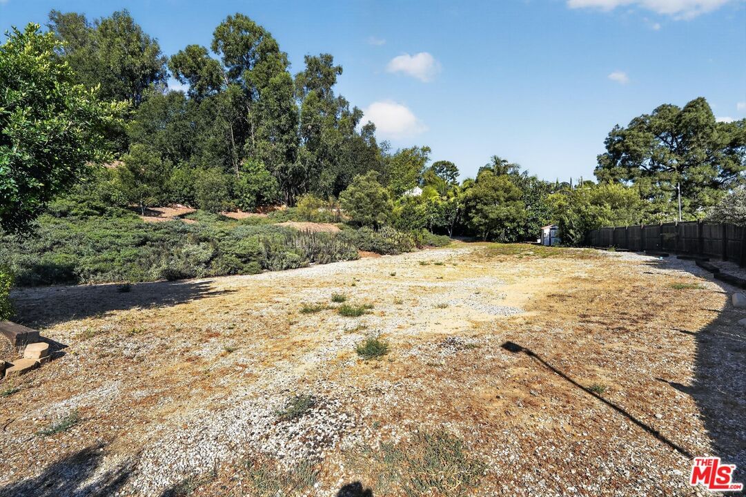 Mulholland photo 34