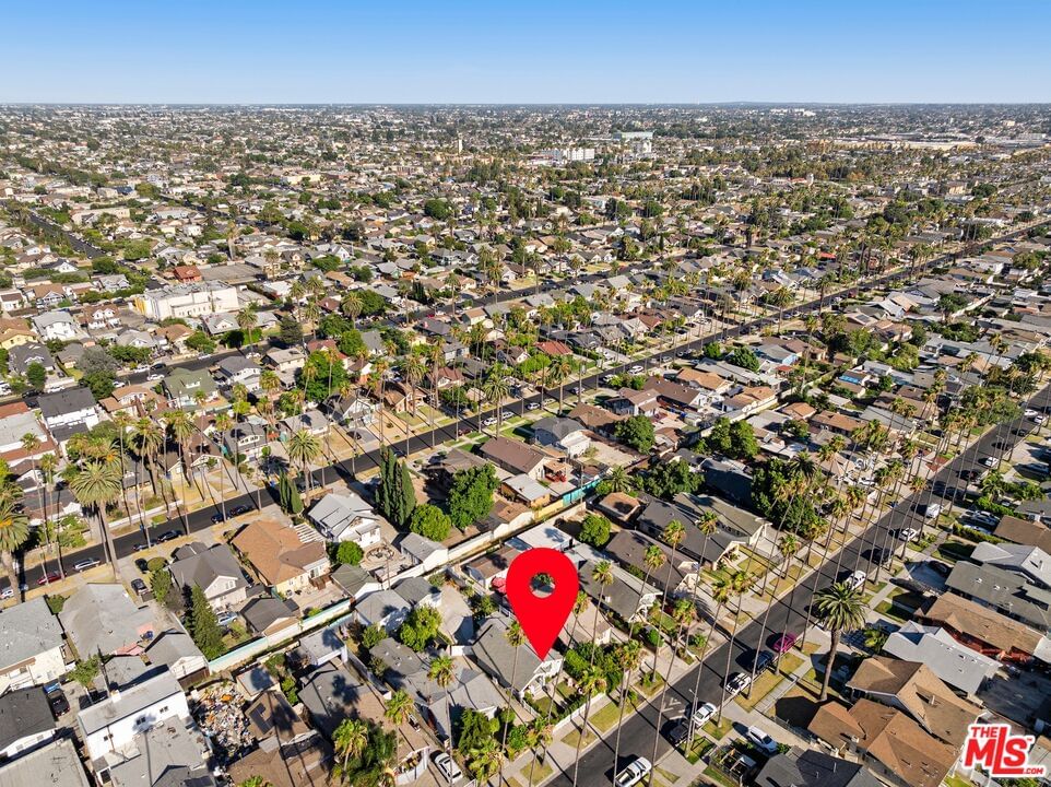 Van Ness photo 18