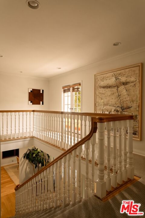 Malibu Colony photo 20
