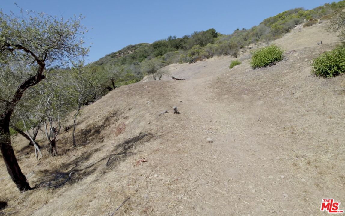 Tuna Canyon photo 12