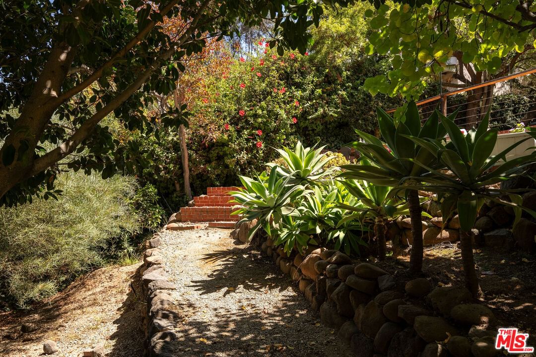 Panorama photo 35