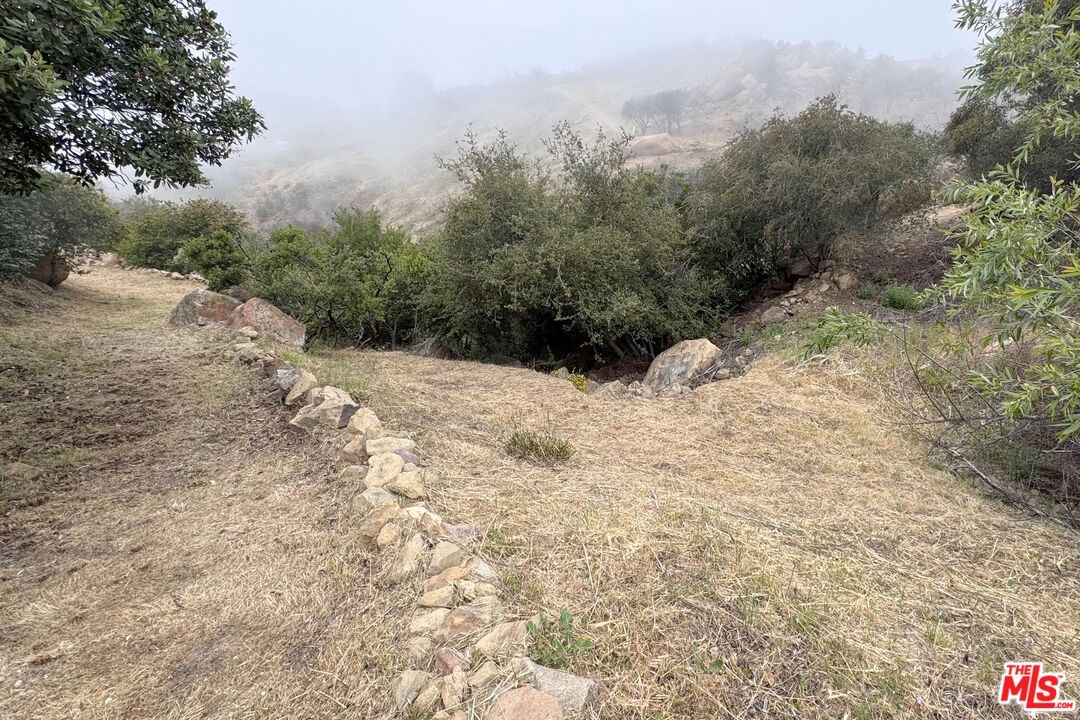 Loma Metisse photo 39