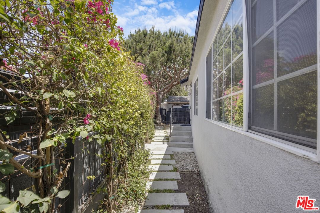 Sawtelle photo 5
