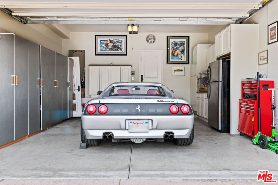 Tampa photo 37
