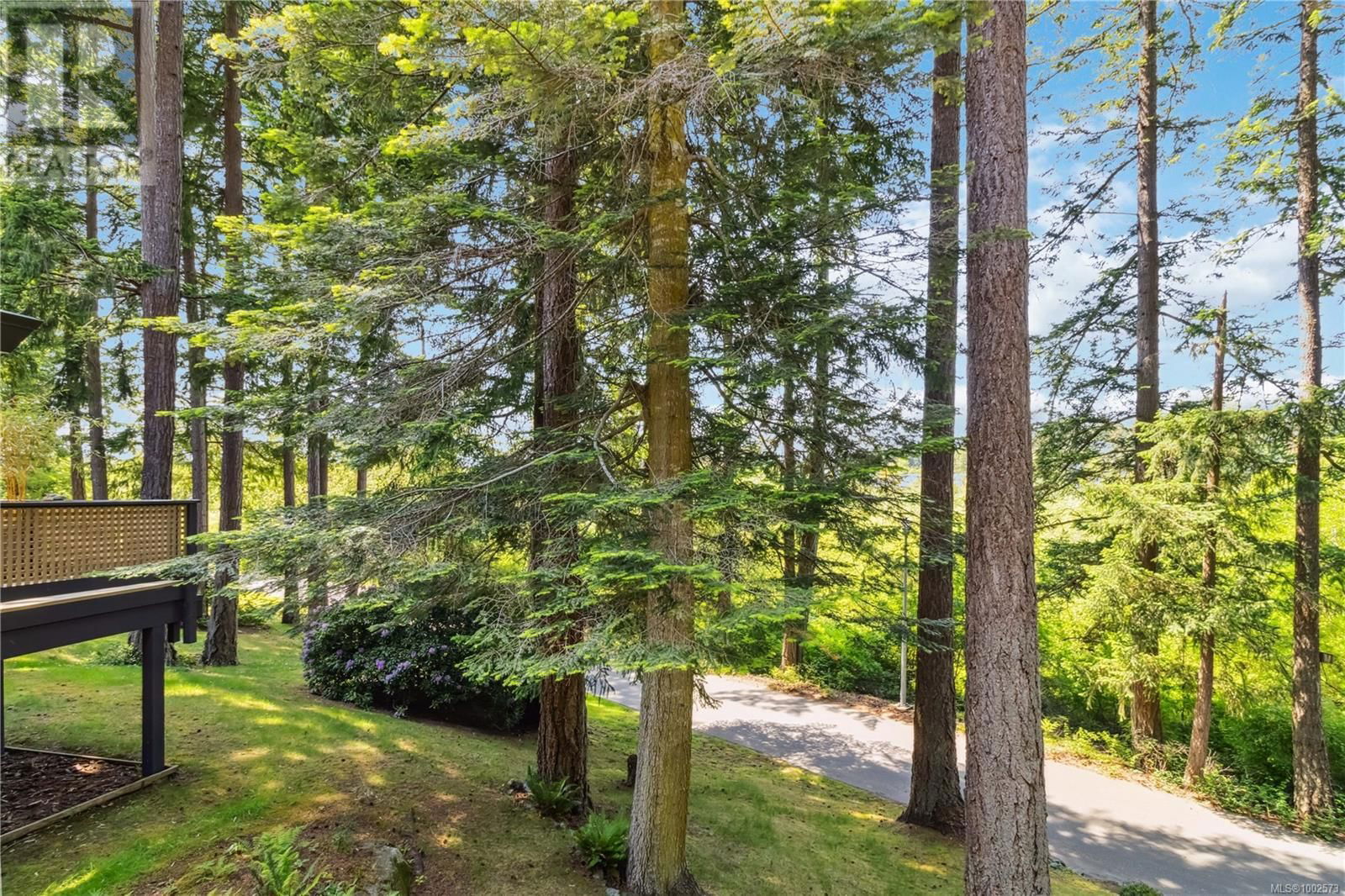 1 - 981 FIR TREE GLEN Image 46