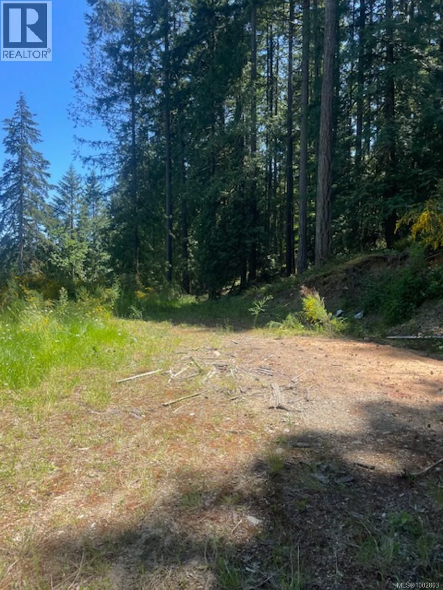 Lot 11 THAIN ROAD Image 10