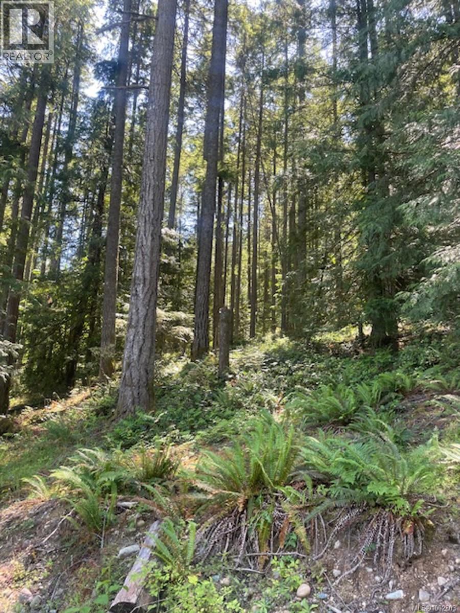 Lot 11 THAIN ROAD Image 11