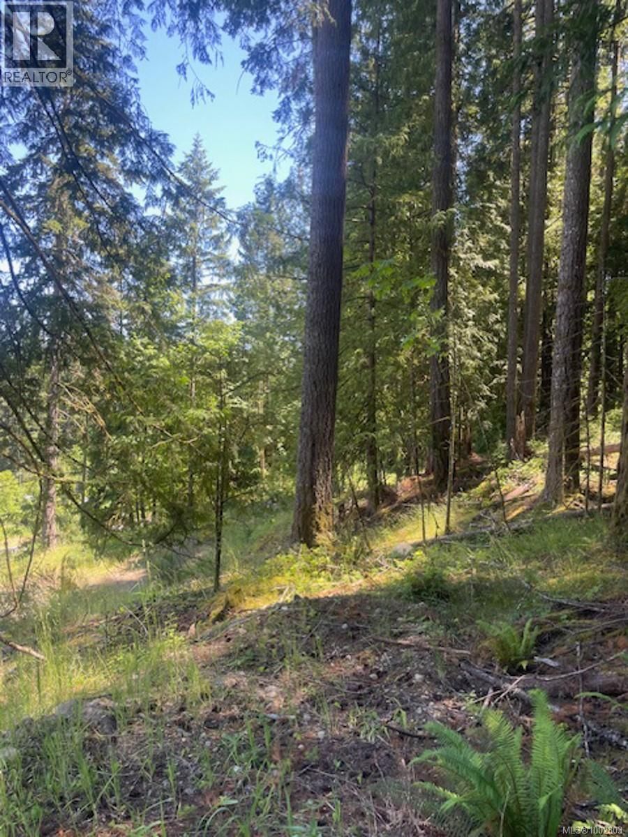 Lot 11 THAIN ROAD Image 12