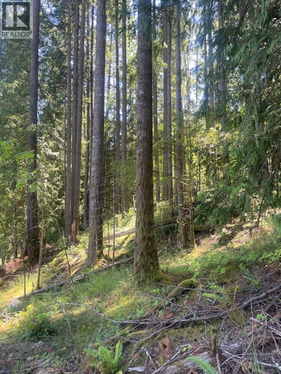 Lot 11 THAIN ROAD Image 13