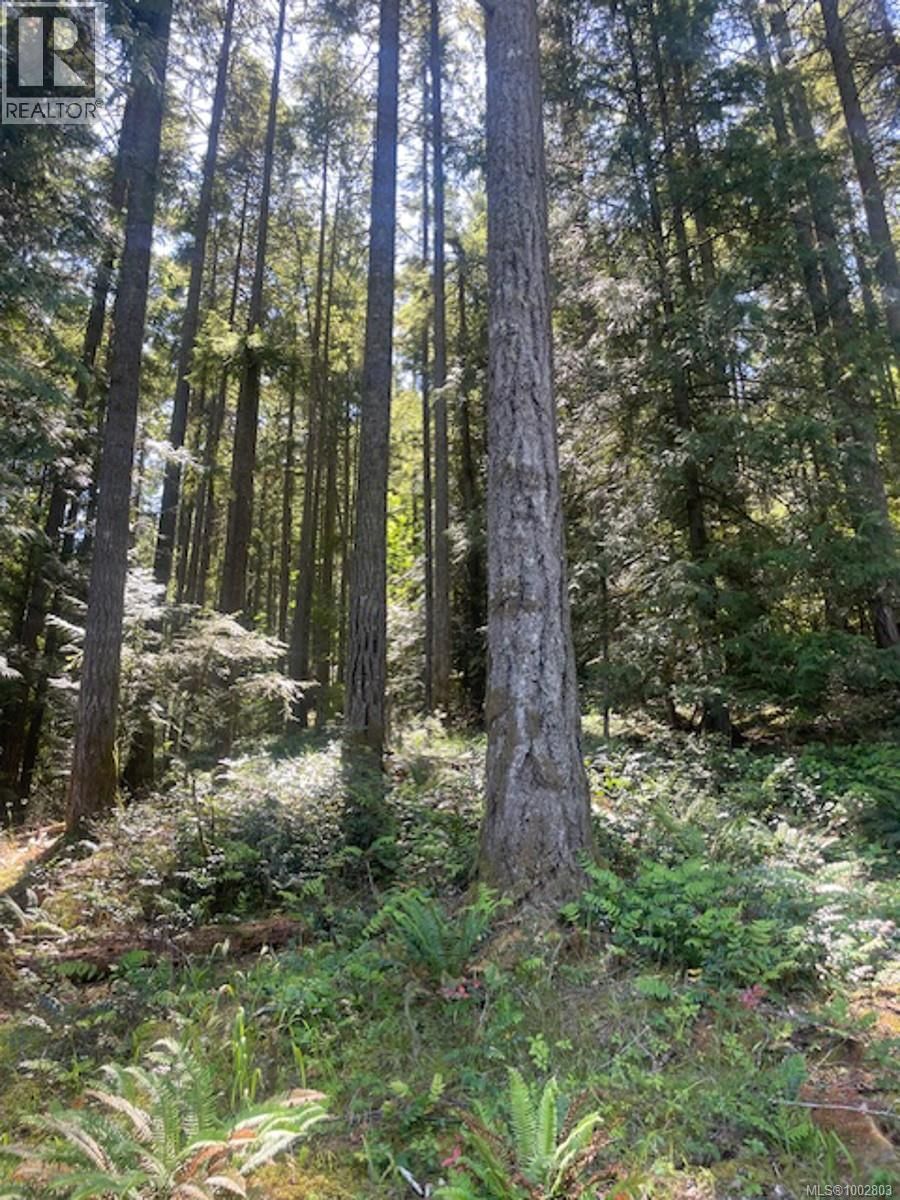 Lot 11 THAIN ROAD Image 14