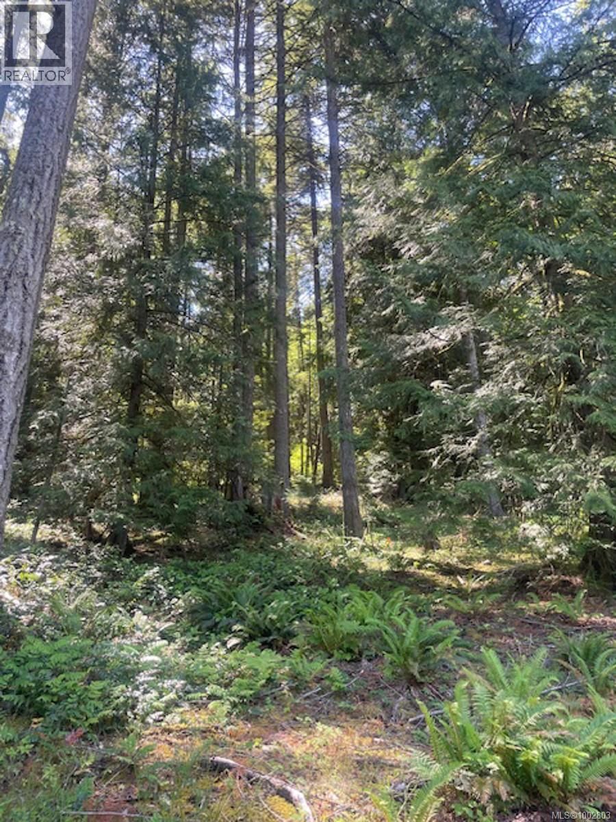 Lot 11 THAIN ROAD Image 15