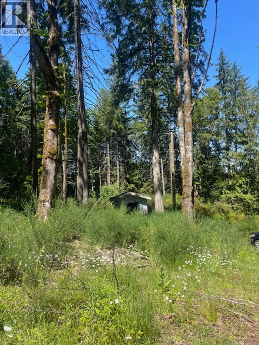 Lot 11 THAIN ROAD Image 16