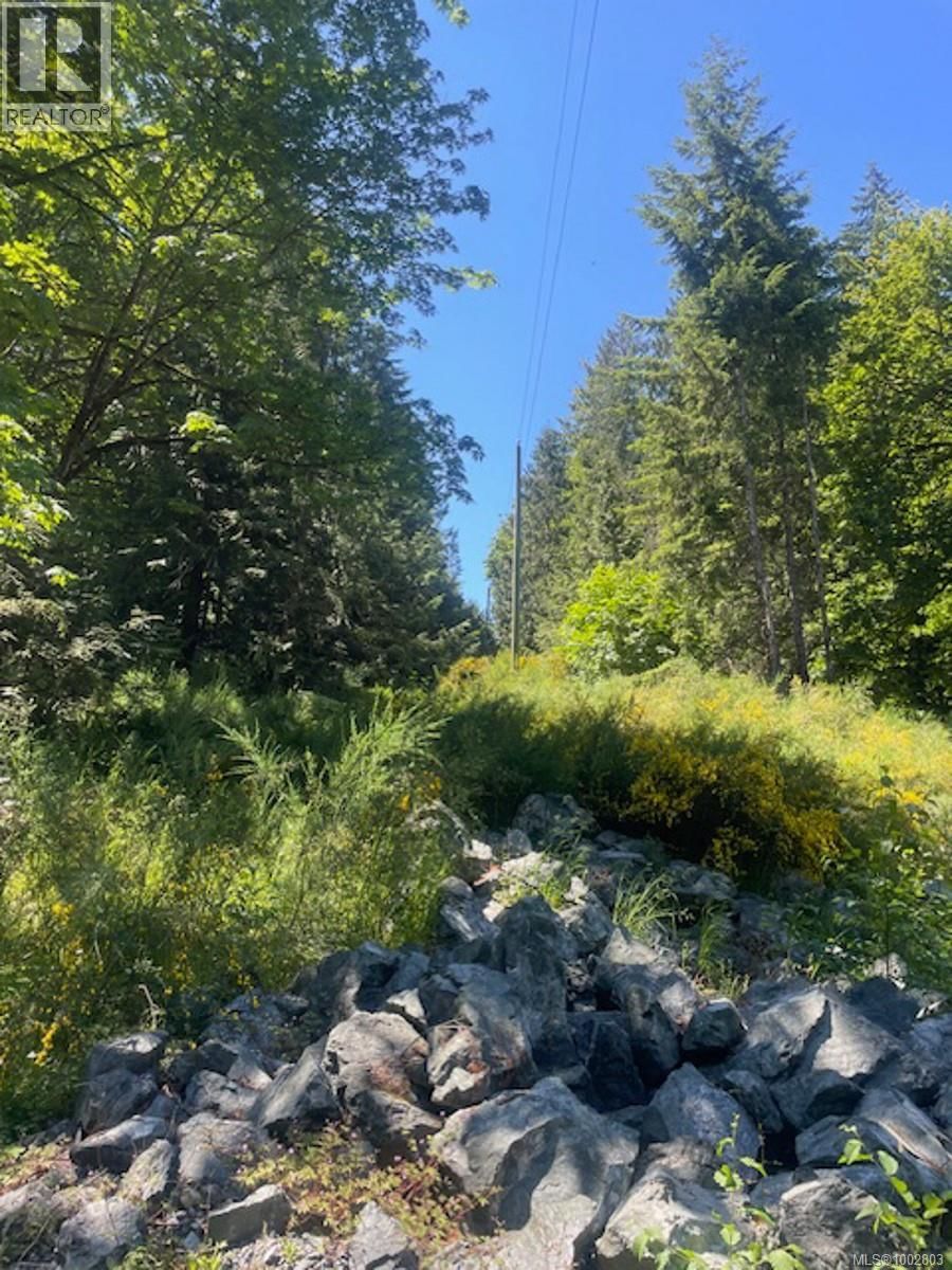 Lot 11 THAIN ROAD Image 2