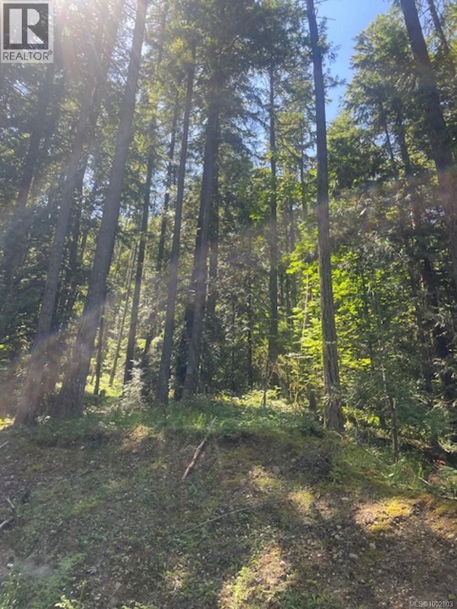 Lot 11 THAIN ROAD Image 20