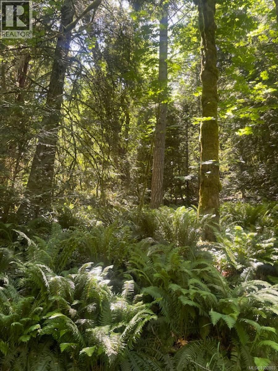 Lot 11 THAIN ROAD Image 21