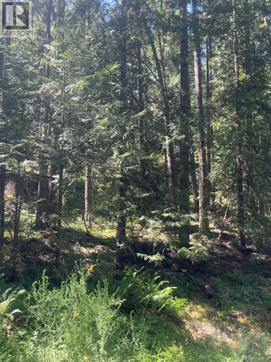 Lot 11 THAIN ROAD Image 23