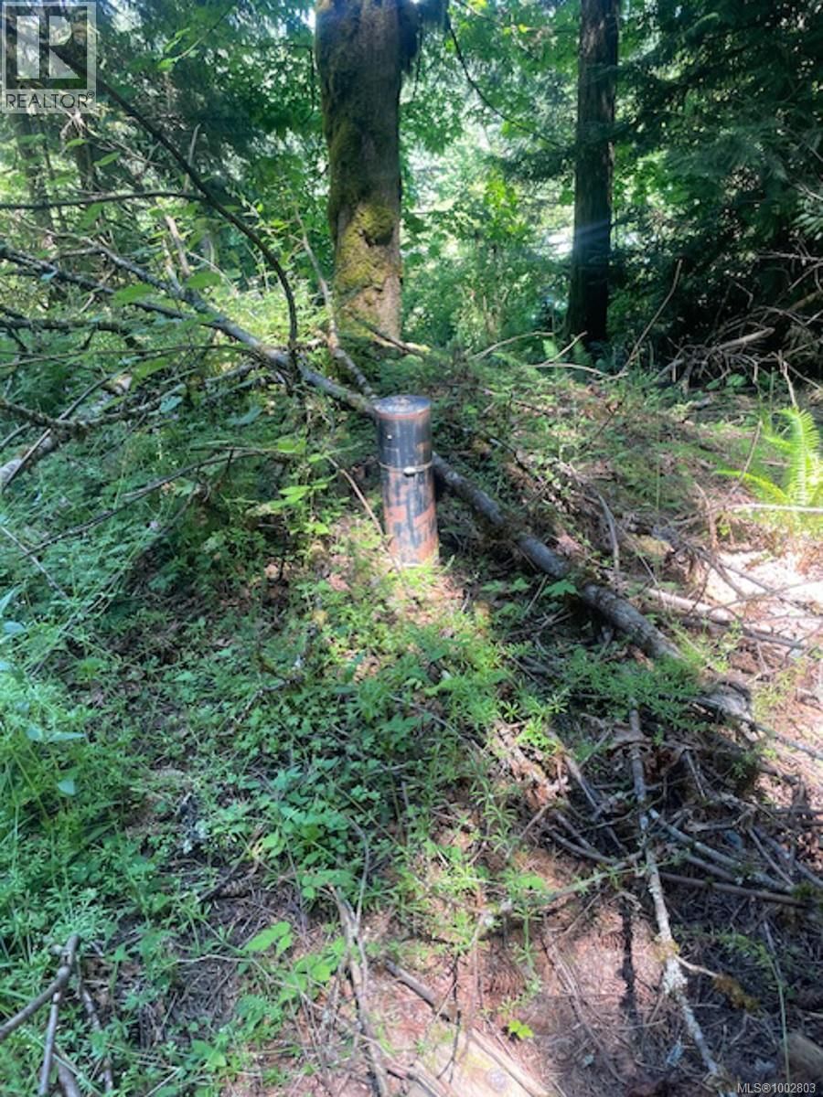 Lot 11 THAIN ROAD Image 24