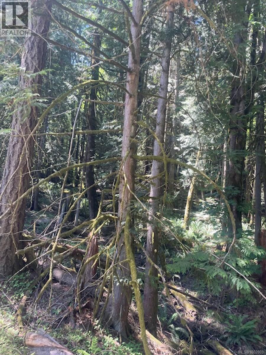 Lot 11 THAIN ROAD Image 7