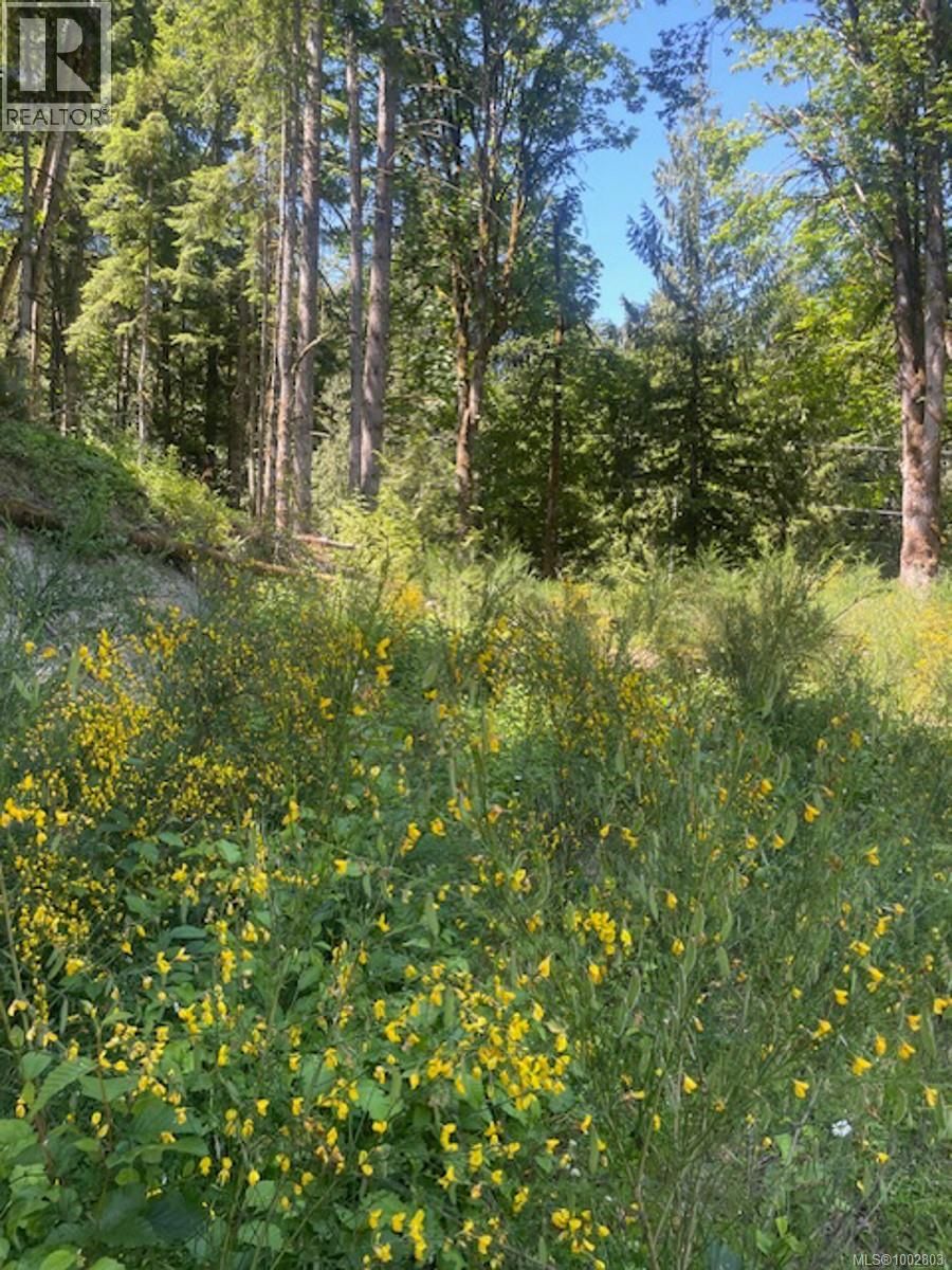 Lot 11 THAIN ROAD Image 9