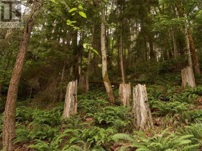 Lot 105 Pequod Crescent | Gabriola Island British Columbia | Slide Image Three