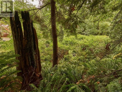 Lot 105 Pequod Crescent | Gabriola Island British Columbia | Slide Image Four