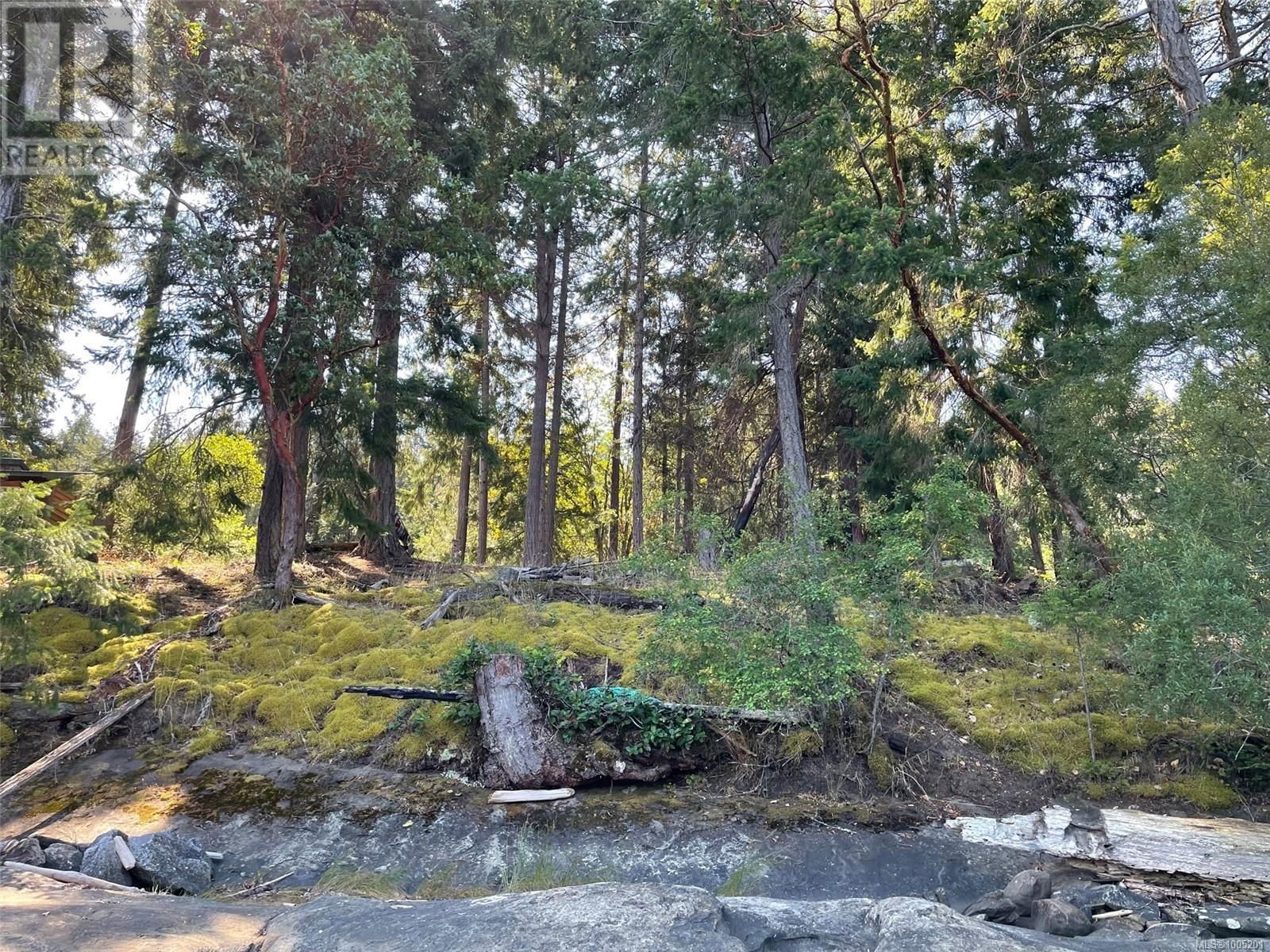 61 COHO BOULEVARD Image 10