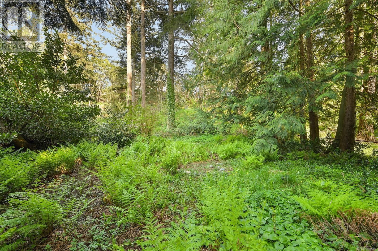 2589 WENTWICH ROAD Image 28