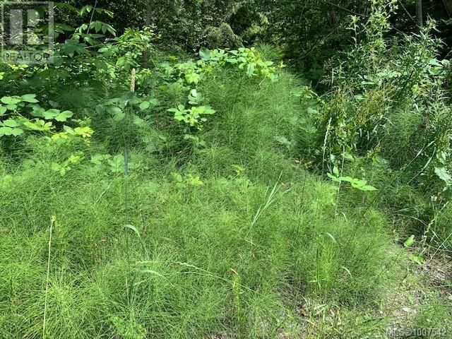 167 River Road property photo