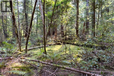 1572 Squirrel Cove Road | Cortes Island British Columbia | Slide Image Sixteen
