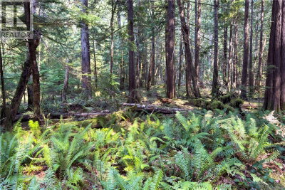 1572 Squirrel Cove Road | Cortes Island British Columbia | Slide Image Nineteen